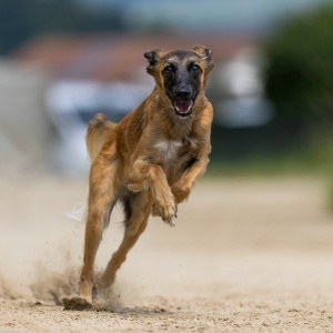 Windsprite-Treffen-2023-162 Windsprite-Treffen-2023-162