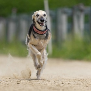 Windsprite-Treffen-2023-163 Windsprite-Treffen-2023-163