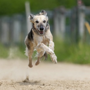 Windsprite-Treffen-2023-164 Windsprite-Treffen-2023-164