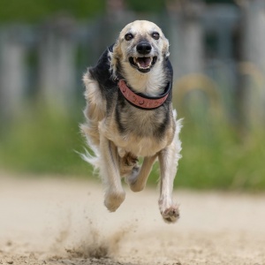 Windsprite-Treffen-2023-165 Windsprite-Treffen-2023-165