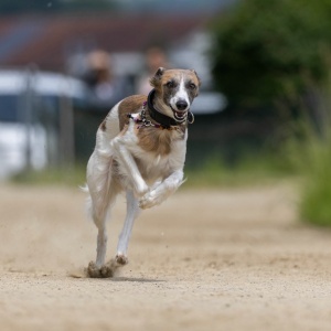 Windsprite-Treffen-2023-166 Windsprite-Treffen-2023-166