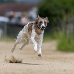 Windsprite-Treffen-2023-167 Windsprite-Treffen-2023-167