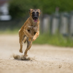 Windsprite-Treffen-2023-169