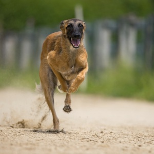 Windsprite-Treffen-2023-170
