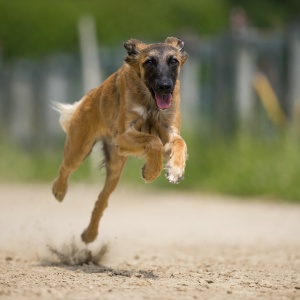 Windsprite-Treffen-2023-171