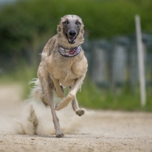 Windsprite-Treffen-2023-176