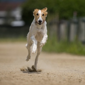 Windsprite-Treffen-2023-178 Windsprite-Treffen-2023-178