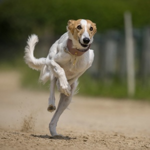 Windsprite-Treffen-2023-179 Windsprite-Treffen-2023-179