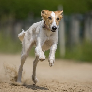 Windsprite-Treffen-2023-180 Windsprite-Treffen-2023-180