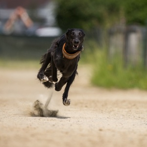 Windsprite-Treffen-2023-181 Windsprite-Treffen-2023-181