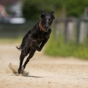 Windsprite-Treffen-2023-182 Windsprite-Treffen-2023-182