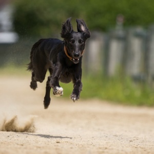 Windsprite-Treffen-2023-183 Windsprite-Treffen-2023-183