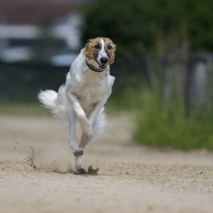 Windsprite-Treffen-2023-184 Windsprite-Treffen-2023-184