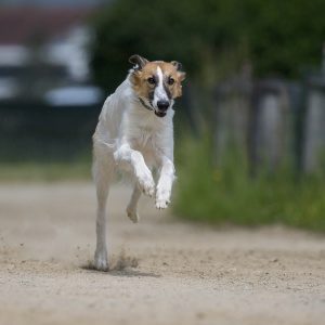 Windsprite-Treffen-2023-185 Windsprite-Treffen-2023-185