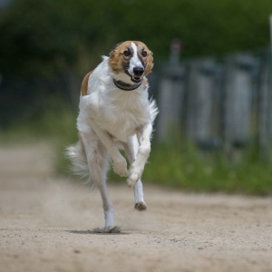 Windsprite-Treffen-2023-186 Windsprite-Treffen-2023-186