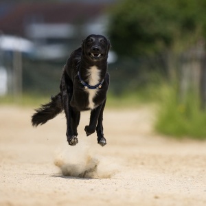 Windsprite-Treffen-2023-187 Windsprite-Treffen-2023-187