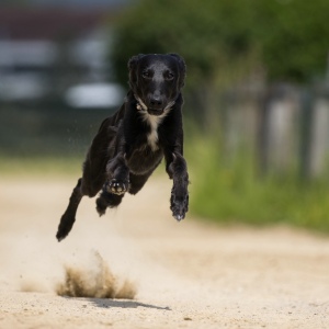 Windsprite-Treffen-2023-188 Windsprite-Treffen-2023-188