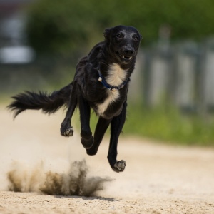 Windsprite-Treffen-2023-189 Windsprite-Treffen-2023-189