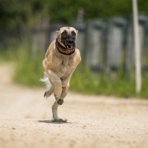 Windsprite-Treffen-2023-190 Windsprite-Treffen-2023-190