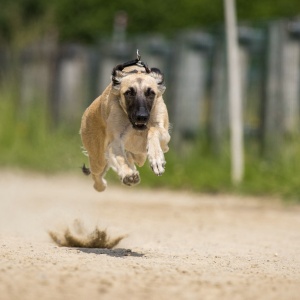 Windsprite-Treffen-2023-191 Windsprite-Treffen-2023-191