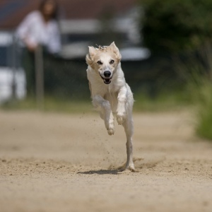 Windsprite-Treffen-2023-193 Windsprite-Treffen-2023-193