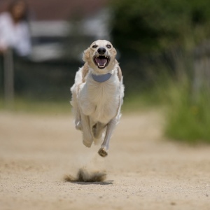 Windsprite-Treffen-2023-194 Windsprite-Treffen-2023-194