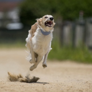 Windsprite-Treffen-2023-195 Windsprite-Treffen-2023-195