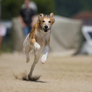 Windsprite-Treffen-2023-196 Windsprite-Treffen-2023-196