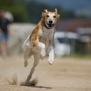 Windsprite-Treffen-2023-198 Windsprite-Treffen-2023-198