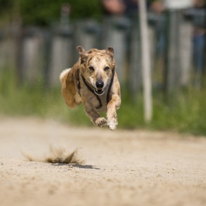 Windsprite-Treffen-2023-200 Windsprite-Treffen-2023-200