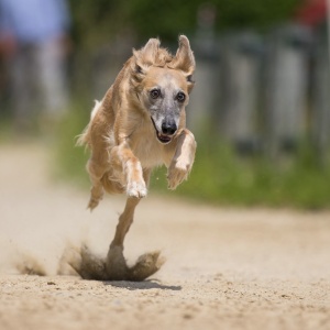 Windsprite-Treffen-2023-203 Windsprite-Treffen-2023-203