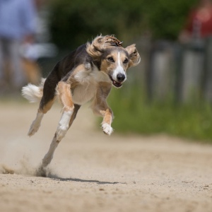 Windsprite-Treffen-2023-205 Windsprite-Treffen-2023-205