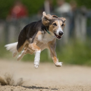 Windsprite-Treffen-2023-207 Windsprite-Treffen-2023-207