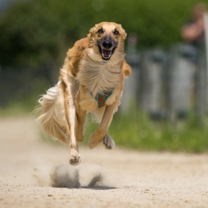 Windsprite-Treffen-2023-208 Windsprite-Treffen-2023-208