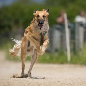 Windsprite-Treffen-2023-209 Windsprite-Treffen-2023-209