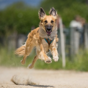 Windsprite-Treffen-2023-210 Windsprite-Treffen-2023-210