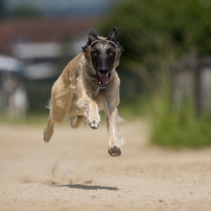 Windsprite-Treffen-2023-211 Windsprite-Treffen-2023-211