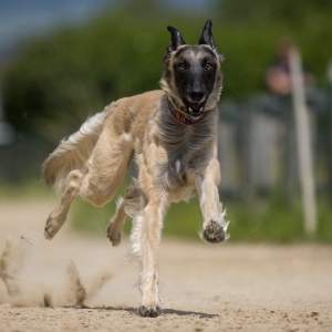 Windsprite-Treffen-2023-213 Windsprite-Treffen-2023-213