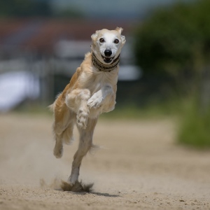 Windsprite-Treffen-2023-220 Windsprite-Treffen-2023-220