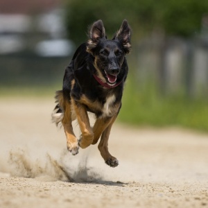 Windsprite-Treffen-2023-222 Windsprite-Treffen-2023-222