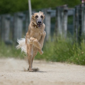 Windsprite-Treffen-2023-224 Windsprite-Treffen-2023-224