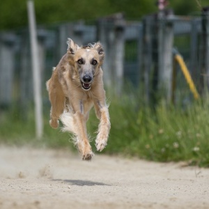 Windsprite-Treffen-2023-225 Windsprite-Treffen-2023-225