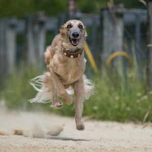 Windsprite-Treffen-2023-226 Windsprite-Treffen-2023-226