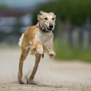 Windsprite-Treffen-2023-229 Windsprite-Treffen-2023-229