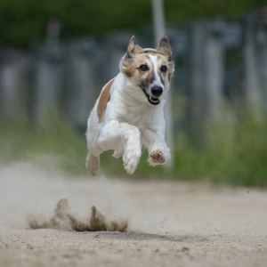 Windsprite-Treffen-2023-230 Windsprite-Treffen-2023-230