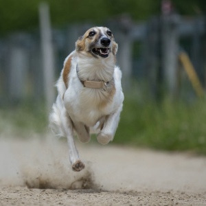 Windsprite-Treffen-2023-231 Windsprite-Treffen-2023-231