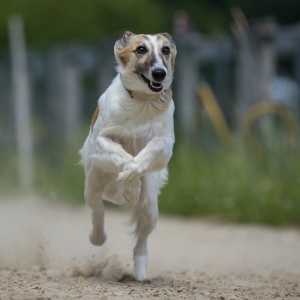 Windsprite-Treffen-2023-232 Windsprite-Treffen-2023-232