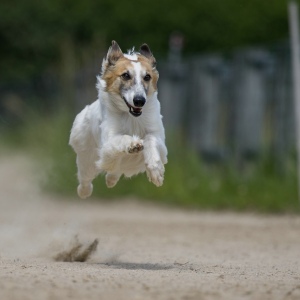 Windsprite-Treffen-2023-233 Windsprite-Treffen-2023-233