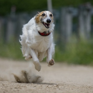 Windsprite-Treffen-2023-234 Windsprite-Treffen-2023-234