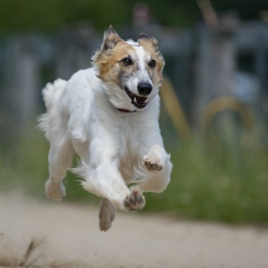 Windsprite-Treffen-2023-235 Windsprite-Treffen-2023-235